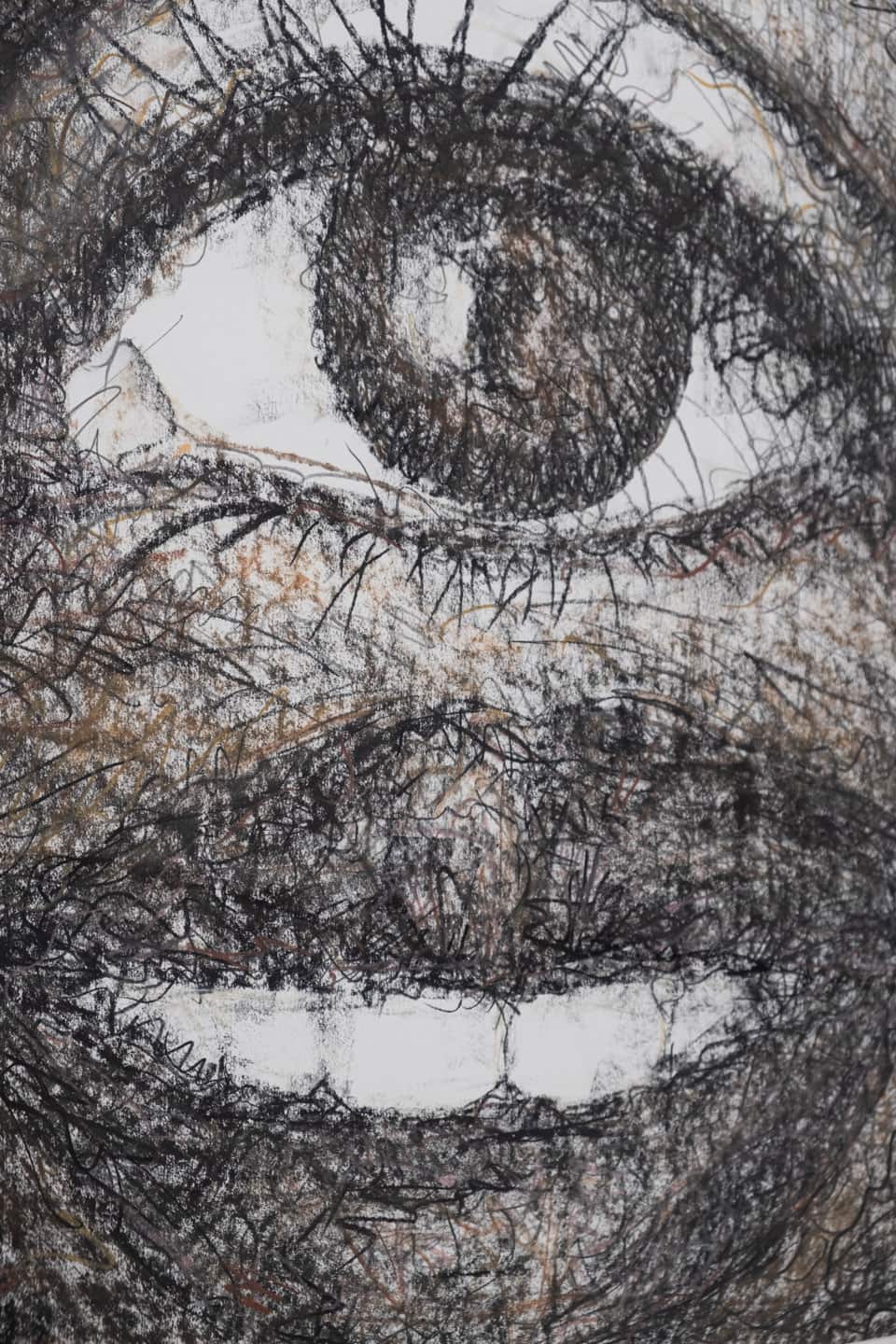 Luis Jacob at Patel Brown